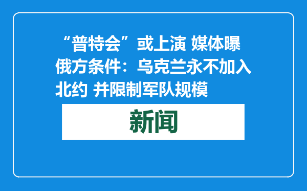 “普特会”或上演 媒体曝俄方条件：乌克兰永不加入北约 并限制军队规模