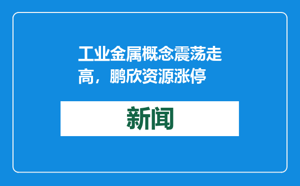 工业金属概念震荡走高，鹏欣资源涨停
