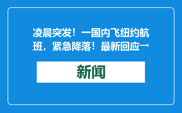 凌晨突发！一国内飞纽约航班，紧急降落！最新回应→