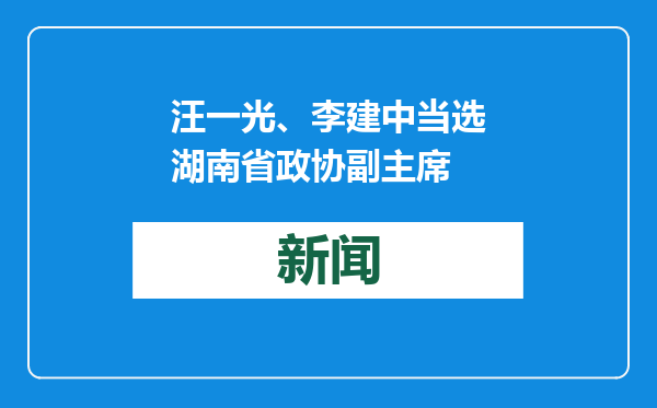 汪一光、李建中当选湖南省政协副主席
