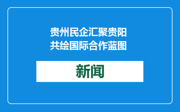 贵州民企汇聚贵阳 共绘国际合作蓝图