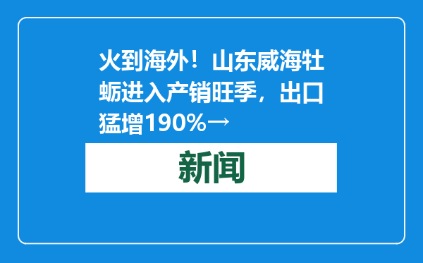 火到海外！山东威海牡蛎进入产销旺季，出口猛增190%→