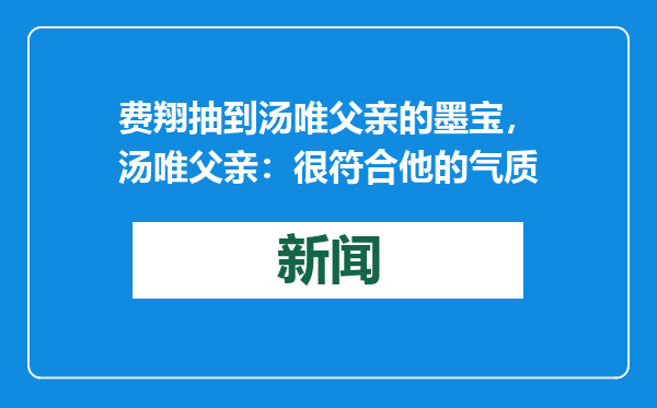 费翔抽到汤唯父亲的墨宝，汤唯父亲：很符合他的气质