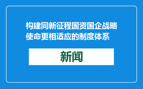 构建同新征程国资国企战略使命更相适应的制度体系