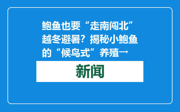 鲍鱼也要“走南闯北”越冬避暑？揭秘小鲍鱼的“候鸟式”养殖→