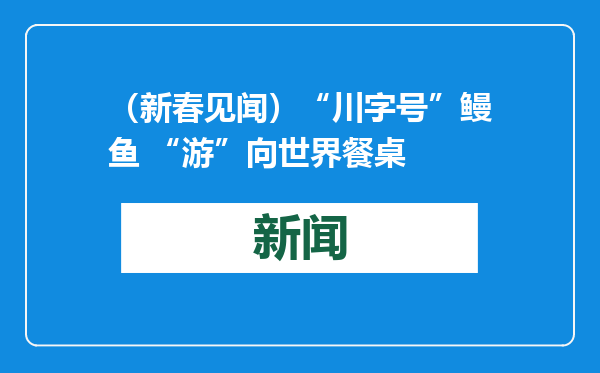 （新春见闻）“川字号”鳗鱼 “游”向世界餐桌