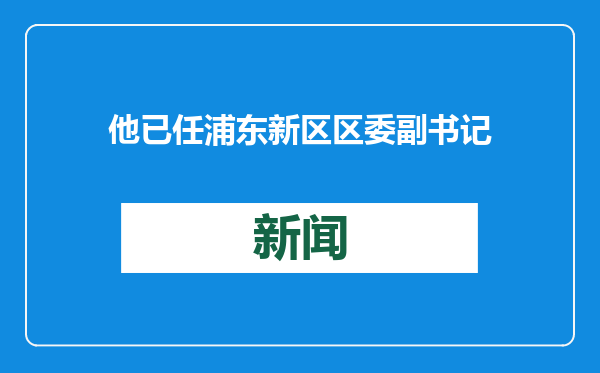 他已任浦东新区区委副书记