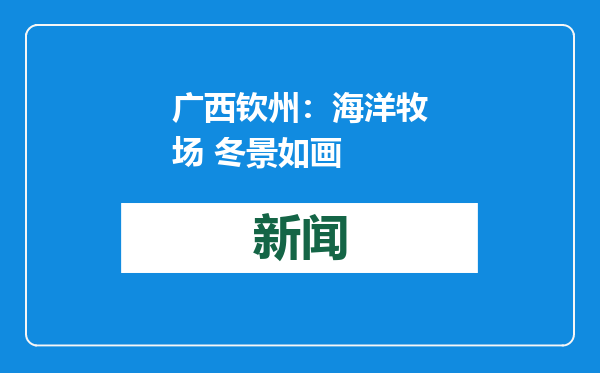 广西钦州：海洋牧场 冬景如画