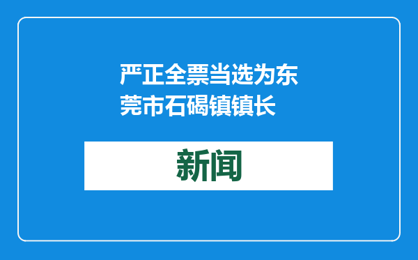 严正全票当选为东莞市石碣镇镇长