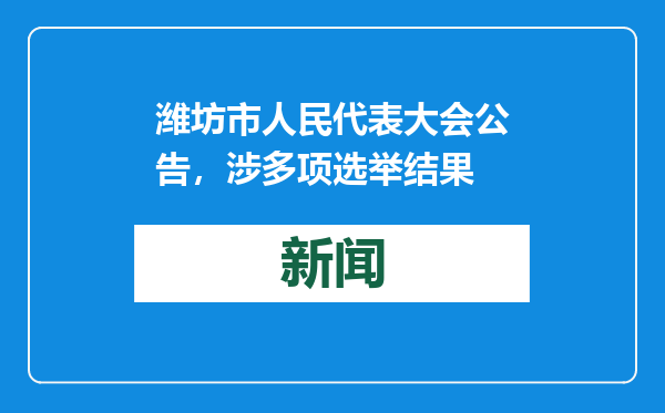 潍坊市人民代表大会公告，涉多项选举结果
