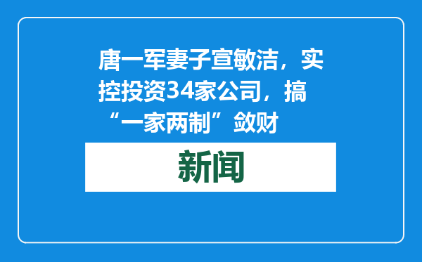 唐一军妻子宣敏洁，实控投资34家公司，搞“一家两制”敛财