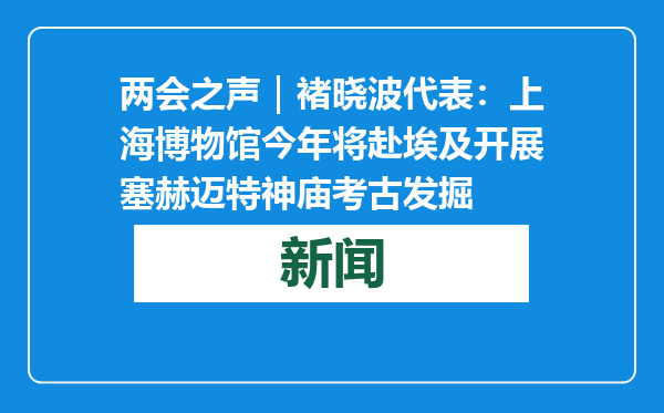 两会之声｜褚晓波代表：上海博物馆今年将赴埃及开展塞赫迈特神庙考古发掘