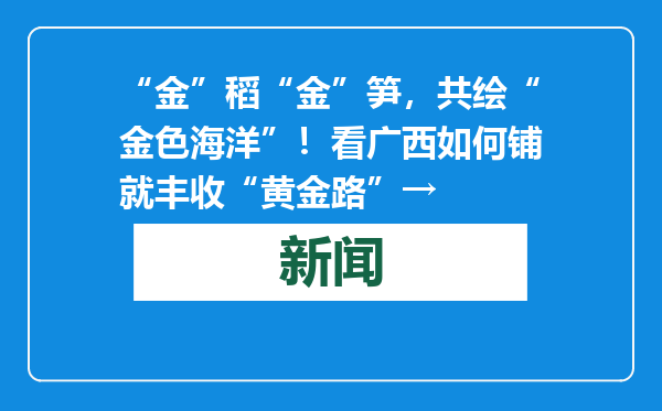 “金”稻“金”笋，共绘“金色海洋”！看广西如何铺就丰收“黄金路”→