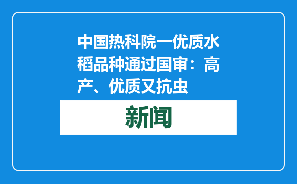 中国热科院一优质水稻品种通过国审：高产、优质又抗虫