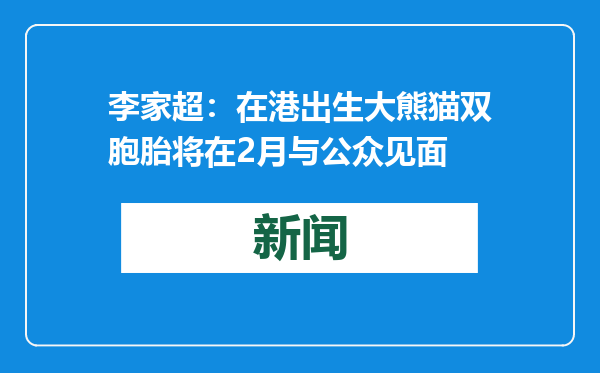 李家超：在港出生大熊猫双胞胎将在2月与公众见面