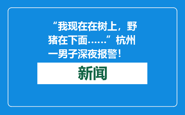 “我现在在树上，野猪在下面……”杭州一男子深夜报警！