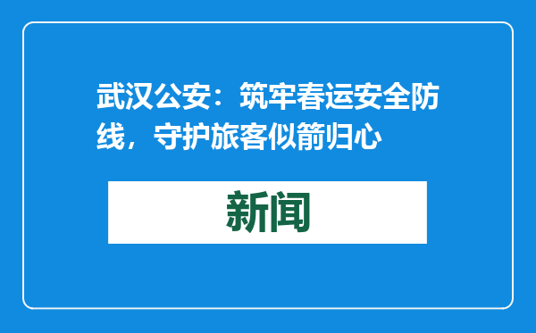 武汉公安：筑牢春运安全防线，守护旅客似箭归心