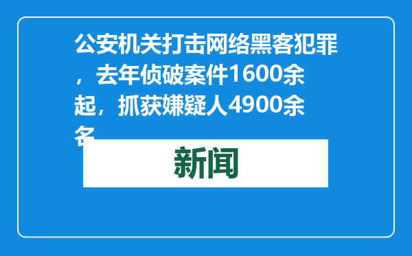 公安机关打击网络黑客犯罪，去年侦破案件1600余起，抓获嫌疑人4900余名
