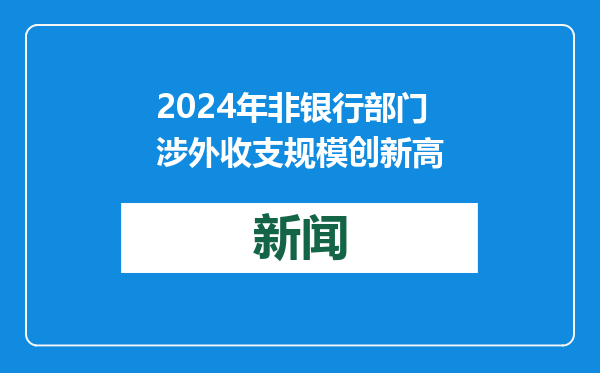 2024年非银行部门涉外收支规模创新高