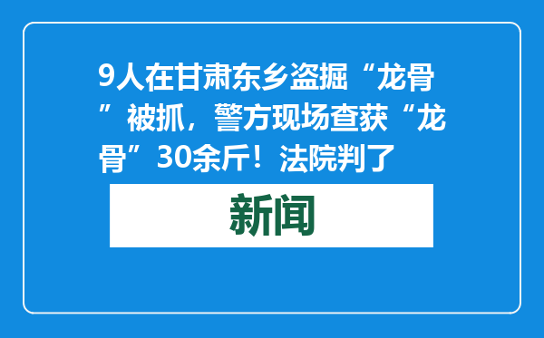 9人在甘肃东乡盗掘“龙骨”被抓，警方现场查获“龙骨”30余斤！法院判了