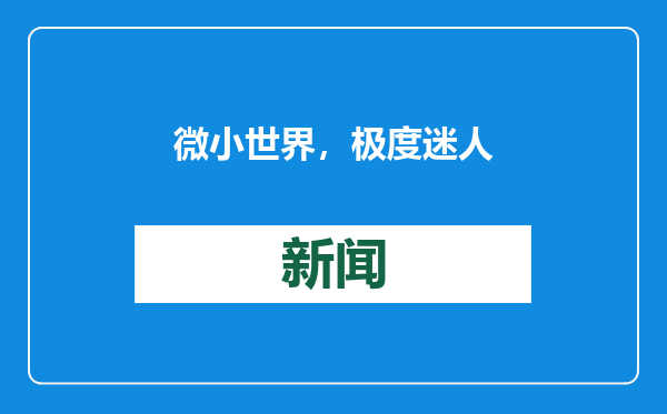 微小世界，极度迷人