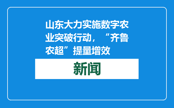 山东大力实施数字农业突破行动，“齐鲁农超”提量增效