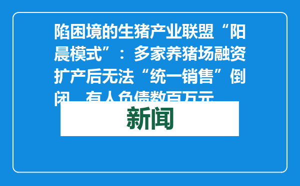 陷困境的生猪产业联盟“阳晨模式”：多家养猪场融资扩产后无法“统一销售”倒闭，有人负债数百万元