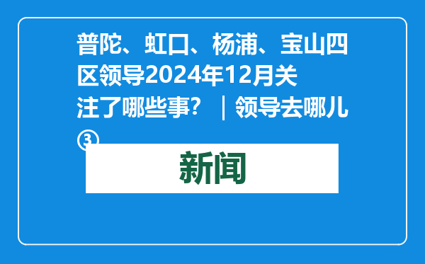 普陀、虹口、杨浦、宝山四区领导2024年12月关注了哪些事？｜领导去哪儿③