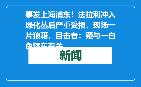 事发上海浦东！法拉利冲入绿化丛后严重受损，现场一片狼藉，目击者：疑与一白色轿车有关