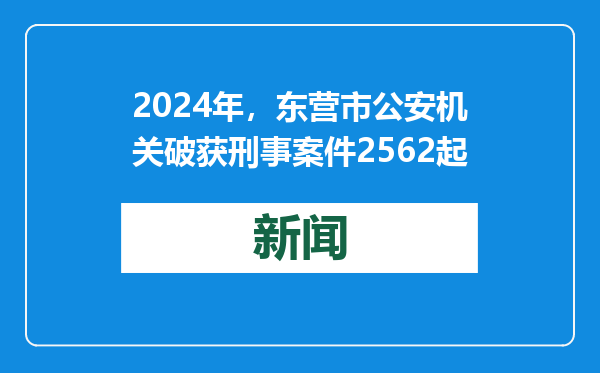 2024年，东营市公安机关破获刑事案件2562起