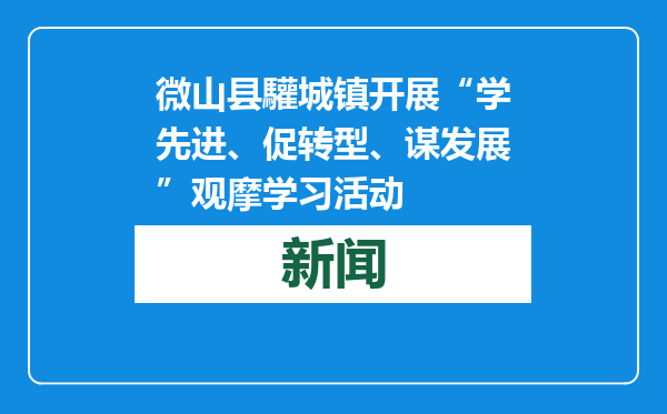 微山县驩城镇开展“学先进、促转型、谋发展”观摩学习活动