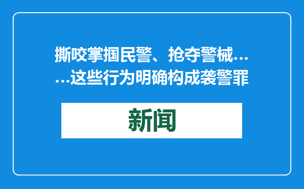 撕咬掌掴民警、抢夺警械……这些行为明确构成袭警罪