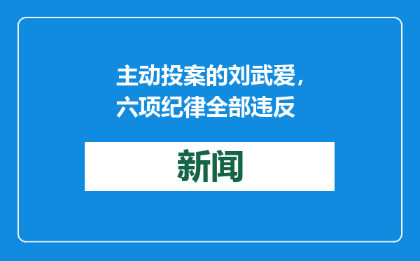 主动投案的刘武爱，六项纪律全部违反