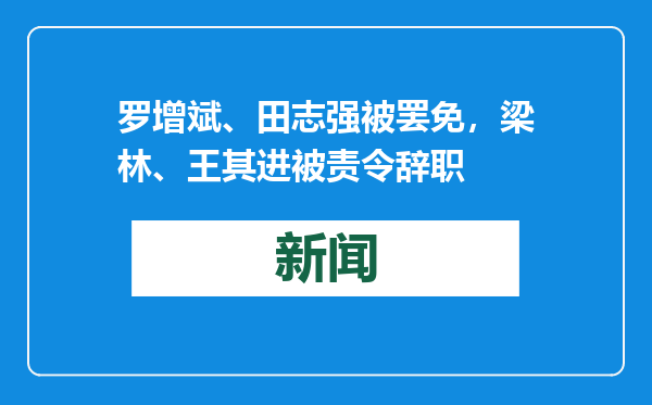罗增斌、田志强被罢免，梁林、王其进被责令辞职