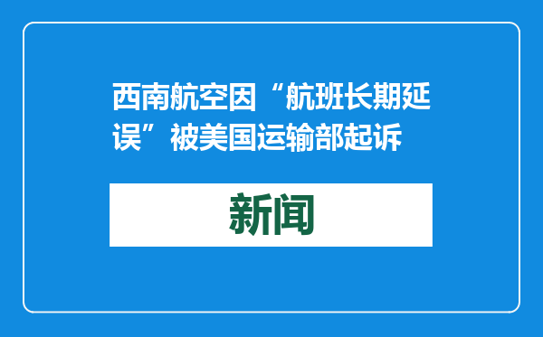 西南航空因“航班长期延误”被美国运输部起诉