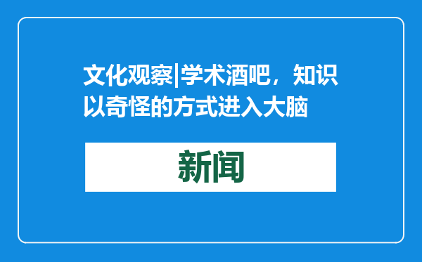 文化观察|学术酒吧，知识以奇怪的方式进入大脑