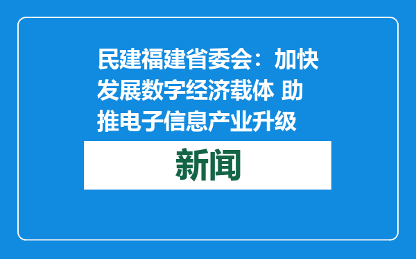 民建福建省委会：加快发展数字经济载体 助推电子信息产业升级