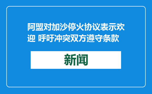 阿盟对加沙停火协议表示欢迎 呼吁冲突双方遵守条款