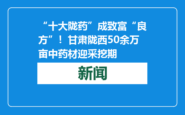 “十大陇药”成致富“良方”！甘肃陇西50余万亩中药材迎采挖期