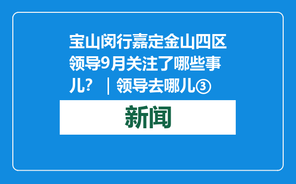 宝山闵行嘉定金山四区领导9月关注了哪些事儿？｜领导去哪儿③
