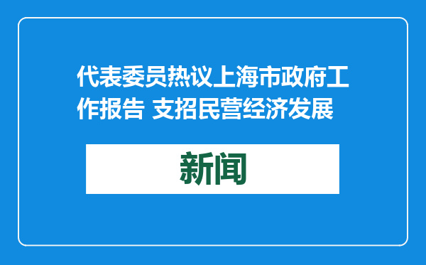 代表委员热议上海市政府工作报告 支招民营经济发展