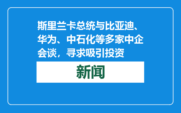 斯里兰卡总统与比亚迪、华为、中石化等多家中企会谈，寻求吸引投资