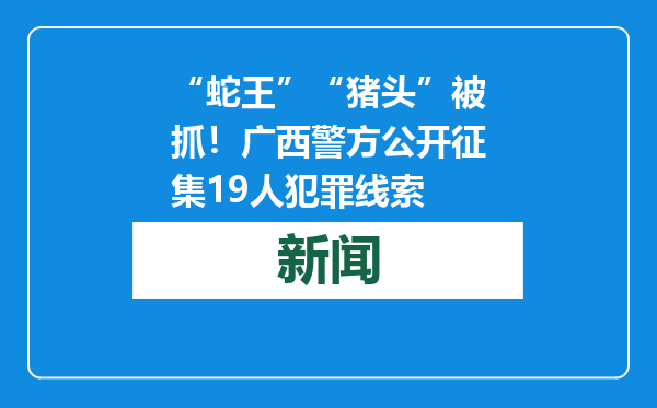 “蛇王”“猪头”被抓！广西警方公开征集19人犯罪线索