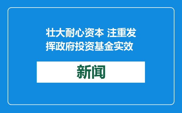 壮大耐心资本 注重发挥政府投资基金实效