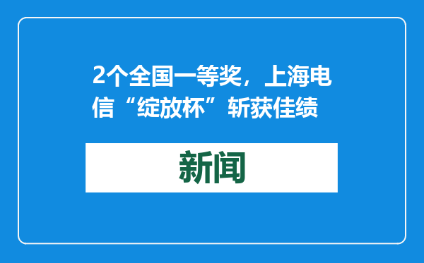 2个全国一等奖，上海电信“绽放杯”斩获佳绩