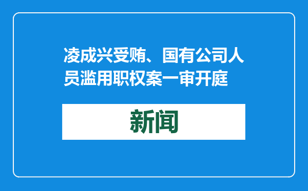 凌成兴受贿、国有公司人员滥用职权案一审开庭
