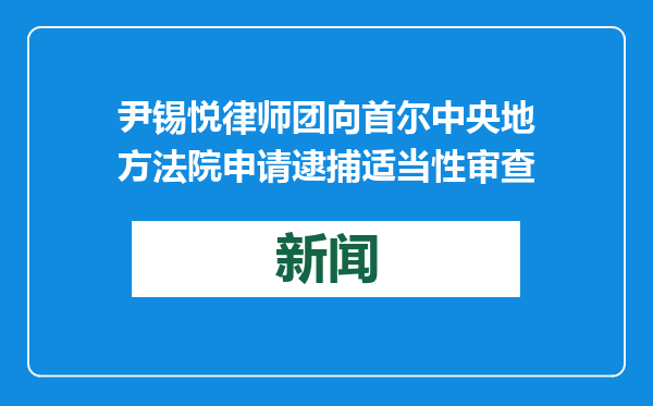 尹锡悦律师团向首尔中央地方法院申请逮捕适当性审查