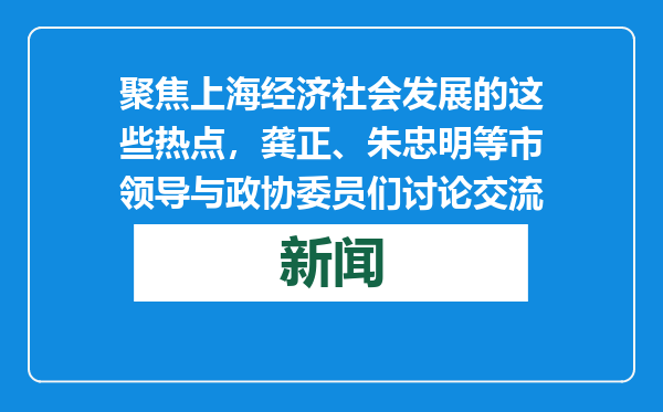 聚焦上海经济社会发展的这些热点，龚正、朱忠明等市领导与政协委员们讨论交流