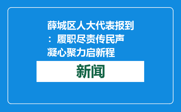 薛城区人大代表报到：履职尽责传民声 凝心聚力启新程