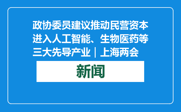 政协委员建议推动民营资本进入人工智能、生物医药等三大先导产业｜上海两会